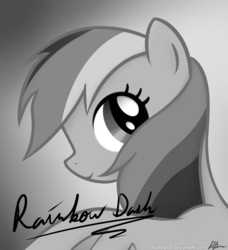 Size: 894x979 | Tagged: dead source, safe, artist:xhazard78x, rainbow dash, g4, the mysterious mare do well, autograph, black and white, bust, female, grayscale, monochrome, photo, portrait, poster, solo, vector