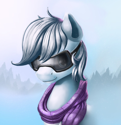 Size: 3790x3898 | Tagged: safe, artist:sceathlet, double diamond, earth pony, pony, g4, the cutie map, clothes, cute, goggles, high res, male, portrait, scarf, solo, stallion