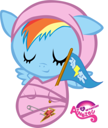 Size: 2545x3000 | Tagged: safe, artist:atnezau, part of a set, rainbow dash, pegasus, pony, g4, baby, baby blanket, baby dash, baby pony, blanket, cute, daaaaaaaaaaaw, dashabetes, element of loyalty, female, flag, foal, happy baby, newborn, safety pin, simple background, sleeping, sleeping baby, solo, spread wings, swaddled, swaddled baby, swaddling, transparent background, vector, wings, wonderbolts flag, wrapped snugly, younger