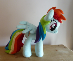Size: 1024x848 | Tagged: safe, artist:wild-hearts, rainbow dash, g4, customized toy, irl, photo, plushie, solo