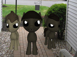 Size: 516x383 | Tagged: safe, artist:darth-silas, earth pony, pony, ponylumen, 3d, 3d pony creator, bek, black sclera, black-eyed kids, brown mane, colt, creepy, day, evil, fangs, foal, grass, grin, irl, photo, ponies in real life, ponified, sinister, trio