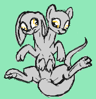 Size: 194x200 | Tagged: safe, artist:darkdoomer, derpy hooves, oc, original species, g4, conjoined, conjoined twins, cute, derp, digital art, floppy ears, iscribble, multiple heads, multiple limbs, on back, paw fetish, paws, simple background, smiling, solo, species swap, spread legs, toes, two heads, wat