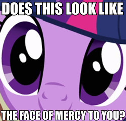 Size: 960x920 | Tagged: safe, twilight sparkle, g4, c:, close-up, closet, cute, face of mercy, faic, female, head tilt, image macro, looking at you, meme, smiling, solo, twiabetes