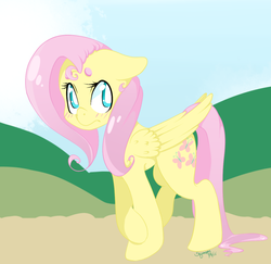 Size: 1024x996 | Tagged: safe, artist:shyamette, fluttershy, pegasus, pony, g4, female, mare, shy, signature, solo