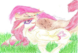 Size: 6712x4568 | Tagged: source needed, safe, artist:dawn22eagle, babs seed, twist, earth pony, pony, g4, absurd resolution, art trade, drawing, duo, female, lesbian, ship:babstwist, shipping