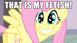 Size: 610x343 | Tagged: safe, edit, edited screencap, screencap, fluttershy, pegasus, pony, filli vanilli, g4, butt, female, fetish, flutterguy, grin, image macro, looking at you, looking back, mare, meme, plot, smiling, solo, spread wings, squee, starry eyes, text, that is my fetish, wingboner, wingding eyes, wings