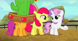 Size: 475x248 | Tagged: safe, screencap, apple bloom, scootaloo, sweetie belle, appleoosa's most wanted, g4, cactus hat, candy apple, cutie mark crusaders, giant hat, hat