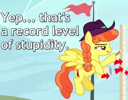 Size: 700x550 | Tagged: safe, edit, edited screencap, screencap, record high, pegasus, pony, appleoosa's most wanted, g4, arrow, braid, caption, cowboy hat, cropped, female, flag, flag pole, flying, hair tie, hat, image macro, mare, measuring, narrowed eyes, notebook, pencil, reaction image, solo, squint, tongue out