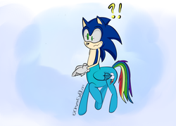 Size: 2100x1500 | Tagged: safe, artist:cleverfox101, rainbow dash, centaur, hybrid, g4, crossover, fusion, male, sonic the hedgehog, sonic the hedgehog (series), video game, wat