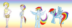 Size: 1280x509 | Tagged: safe, artist:luxianne, rainbow dash, g4, belly button, clothes, human to pony, midriff, tank top, transformation, transformation sequence