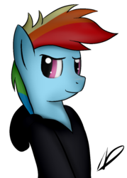 Size: 644x900 | Tagged: safe, artist:neighday, rainbow dash, g4, clothes, female, hoodie, solo