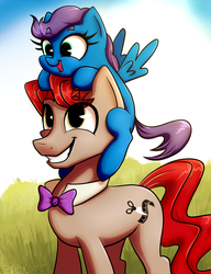 Size: 1305x1696 | Tagged: safe, artist:sigmanas, oc, oc only, oc:bedbug, oc:cross-cut, earth pony, pegasus, pony, bowtie, cute, duo, grass, grin, looking up, ocbetes, open mouth, pair, ponies riding ponies, pony hat, riding, siblings, smiling, squee, summer, щщоки