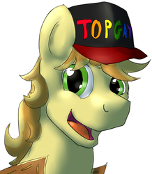 Size: 567x650 | Tagged: safe, artist:a2, braeburn, g4, baseball cap, hat, male, meme, solo, top gun