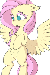 Size: 359x540 | Tagged: safe, artist:yoditax, fluttershy, g4, belly button, explicit source, female, lowres, solo