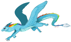 Size: 1630x978 | Tagged: safe, artist:xenon, rainbow dash, dragon, feathered dragon, g4, dragonified, female, flying, grin, rainbow dragon, simple background, smirk, solo, species swap, spread wings, white background
