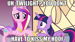 Size: 891x500 | Tagged: safe, screencap, princess cadance, twilight sparkle, alicorn, pony, g4, female, hoof fetish, image macro, mare, meme, twilight sparkle (alicorn)