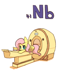 Size: 800x1000 | Tagged: safe, artist:joycall6, part of a set, fluttershy, pegasus, pony, series:joycall6's periodic table, g4, cute, female, mri scanner, niobium, periodic table, shyabetes, solo, weapons-grade cute
