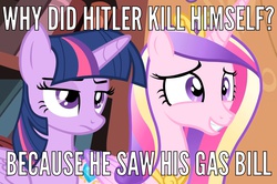 Size: 1446x961 | Tagged: safe, edit, edited screencap, screencap, princess cadance, twilight sparkle, alicorn, pony, g4, adolf hitler, caption, female, holocaust joke, image macro, mare, meme, twilight sparkle (alicorn)