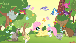 Size: 1280x720 | Tagged: safe, screencap, fluttershy, beaver, bird, blue jay, butterfly, duck, mallard, mouse, pegasus, pony, rabbit, songbird, weasel, g4, the cutie mark chronicles, chickadee (bird), cute, filly, filly fluttershy, male, shyabetes