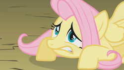 Size: 1280x720 | Tagged: safe, screencap, fluttershy, dragonshy, g4, female, solo