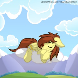 Size: 1500x1500 | Tagged: dead source, safe, artist:veggie55, oc, oc only, oc:vento, pegasus, pony, cloud, cloudy, cute, eyes closed, floppy ears, prone, sleeping, smiling, solo
