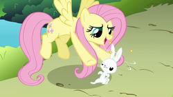 Size: 1280x720 | Tagged: safe, screencap, angel bunny, fluttershy, g4, keep calm and flutter on, dizzy