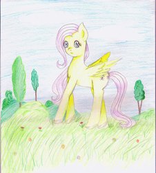 Size: 849x940 | Tagged: safe, artist:wrath-marionphauna, fluttershy, pegasus, pony, g4, beautiful, colored pencil drawing, everfree forest, female, flower, forest background, ponyville, solo, traditional art, tree
