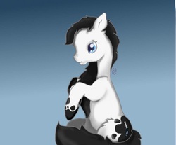 Size: 960x795 | Tagged: safe, artist:serenity, oc, oc only, oc:torque fire, pony, blue eyes, fluffy, gradient background, male, oil, piercing, sitting, smiling, solo, stallion