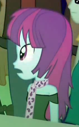 Size: 284x454 | Tagged: safe, screencap, mystery mint, equestria girls, g4, my little pony equestria girls: rainbow rocks, background human, cropped