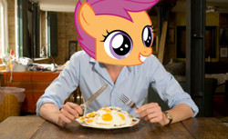 Size: 468x286 | Tagged: safe, scootaloo, g4, egg (food), food, male, scootachicken, solo