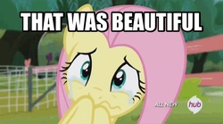 Size: 606x338 | Tagged: safe, screencap, fluttershy, g4, female, image macro, meme, solo