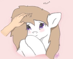 Size: 960x775 | Tagged: safe, artist:serenity, oc, oc only, oc:anon, oc:serenity, human, pony, blushing, cute, female, mare, petting, purple eyes, purring