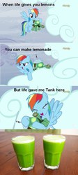 Size: 500x1118 | Tagged: safe, rainbow dash, tank, g4, tanks for the memories, lemonade