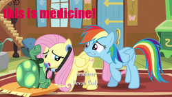 Size: 640x360 | Tagged: safe, fluttershy, rainbow dash, tank, g4, tanks for the memories, doctor fluttershy, fluttermedic vs snipershy war, listening, medic, medic (tf2), op is a duck, op is trying to start shit, parody, stethoscope, team fortress 2