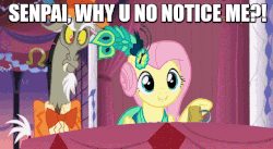 Size: 635x349 | Tagged: safe, edit, edited screencap, screencap, discord, fluttershy, draconequus, pony, g4, make new friends but keep discord, ahem, alternate hairstyle, animated, annoyed, clothes, coughing, dress, female, grand galloping gala, image macro, male, mare, meme, senpai, tuxedo