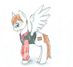 Size: 1111x1024 | Tagged: safe, oc, oc only, pegasus, pony, beard, clothes, glasses, jacket, necktie, ponified, red cynic, smiling, solo, traditional art