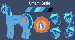 Size: 3000x1600 | Tagged: safe, artist:duskyamore, oc, oc only, oc:umami stale, cutie mark, expressions, male, reference sheet, solo, stallion