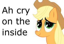 Size: 1022x702 | Tagged: safe, artist:flareblitzfury, applejack, g4, tanks for the memories, applejack cries on the inside, crying inside, female, solo, text
