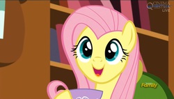Size: 1073x611 | Tagged: safe, screencap, fluttershy, pegasus, pony, g4, make new friends but keep discord, season 5, discovery family, discovery family logo, female, logo, mare, solo