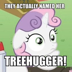 Size: 500x500 | Tagged: safe, sweetie belle, tree hugger, g4, make new friends but keep discord, my little pony: friendship is magic, exploitable meme, image macro, meme, sudden clarity sweetie belle