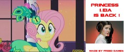 Size: 1504x635 | Tagged: safe, screencap, fluttershy, g4, make new friends but keep discord, :i, alternate hairstyle, comparison, princess leia, star wars, we bought two cakes