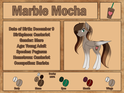 Size: 2400x1800 | Tagged: safe, artist:iraincloud, oc, oc only, oc:marble mocha, pegasus, pony, reference sheet, solo