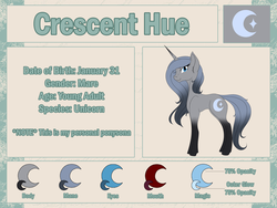 Size: 2400x1800 | Tagged: safe, artist:iraincloud, oc, oc only, oc:crescent hue, pony, unicorn, female, mare, reference sheet, solo