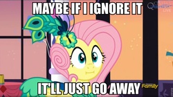 Size: 960x537 | Tagged: safe, screencap, fluttershy, g4, make new friends but keep discord, :i, image macro, meme, we bought two cakes