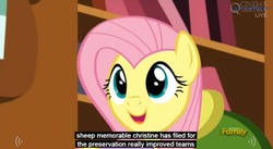 Size: 843x463 | Tagged: safe, screencap, fluttershy, g4, make new friends but keep discord, meme, solo, youtube caption