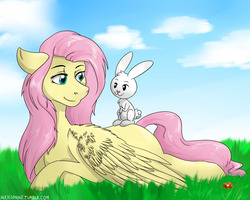 Size: 1280x1024 | Tagged: safe, artist:alexispaint, angel bunny, fluttershy, g4, grass