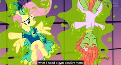 Size: 1600x855 | Tagged: safe, edit, edited screencap, screencap, fluttershy, tree hugger, g4, make new friends but keep discord, bottomless, caption, clothes, dress, featureless crotch, gala dress, meme, youtube caption