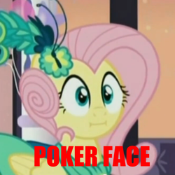 Size: 440x440 | Tagged: safe, screencap, fluttershy, pegasus, pony, g4, make new friends but keep discord, my little pony: friendship is magic, :i, cropped, exploitable meme, female, grand galloping gala, mare, meme, poker face, solo, we bought two cakes