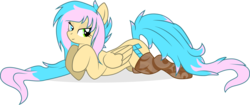 Size: 3129x1310 | Tagged: safe, artist:xhydraax, oc, oc only, oc:legendary, pegasus, pony, clothes, heterochromia, socks, solo