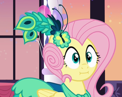 Size: 1275x1017 | Tagged: safe, screencap, fluttershy, pegasus, pony, g4, make new friends but keep discord, season 5, :i, clothes, cropped, cute, dress, female, reaction image, shyabetes, solo, we bought two cakes